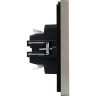 Выключатель 2-клавишный проходной IEK FORTEPIANO 10А FP507 сталь FP-V22-0-10-1-K46